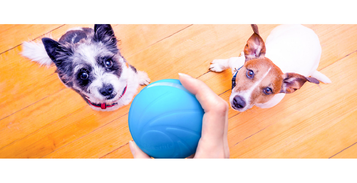 Wicked Ball - автоматизований м'ячик для домашніх тварин